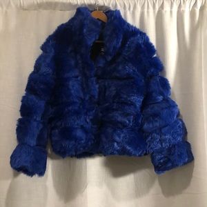Blue Fur Coat